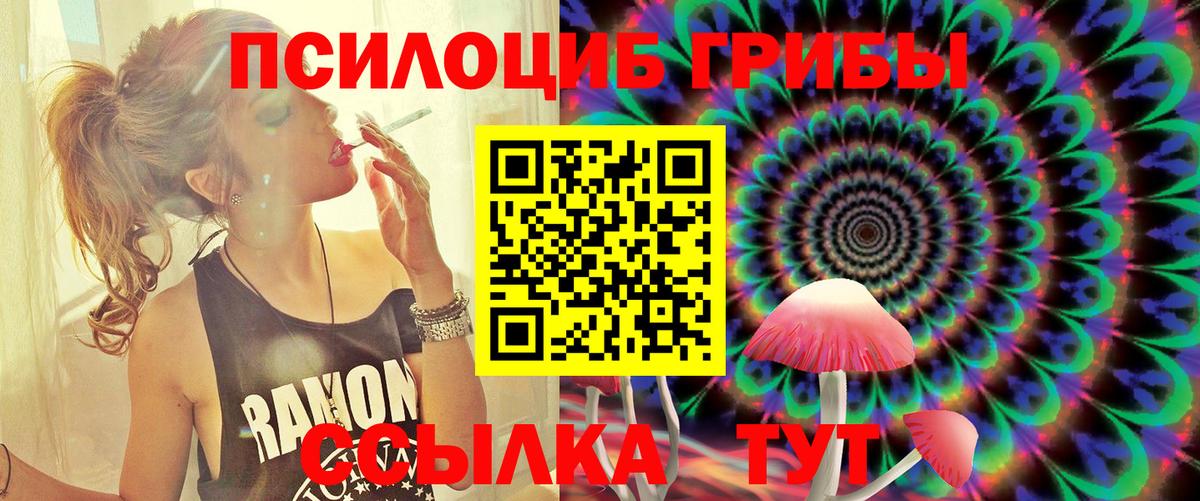 Волхов  Псилоцибиновые грибы мухоморы  Вход с VPN  Галлюциногенные грибы GOLDEN TEACHER 