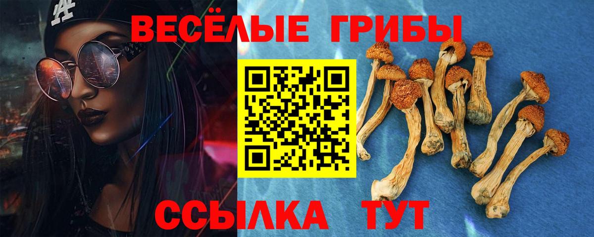 Галлюциногенные грибы GOLDEN TEACHER Волхов