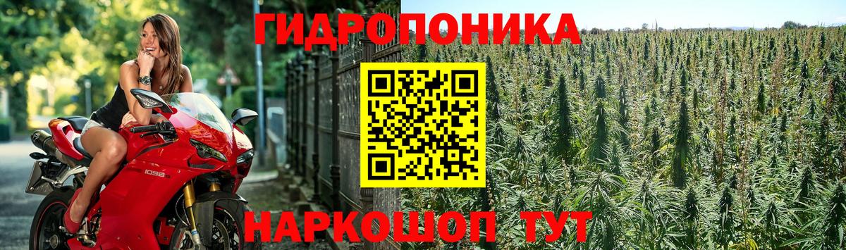 Каннабис Ganja  Вход с VPN  Волхов  МАРИХУАНА THC 21%  Канабис Amnesia 